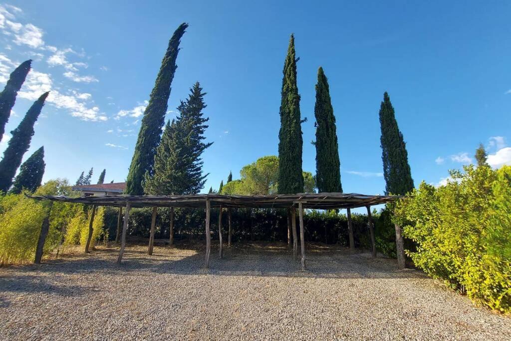 Ferienwohnung Il Paretaietto Certaldo Exterior foto